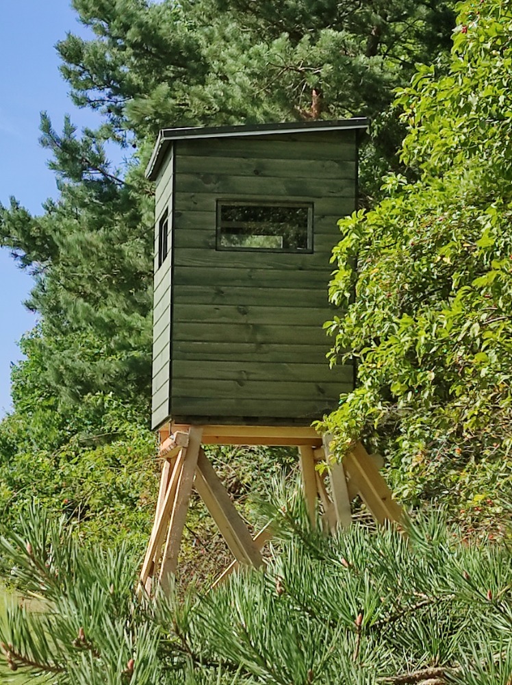 Kazatelna JEDNOMUŽKA