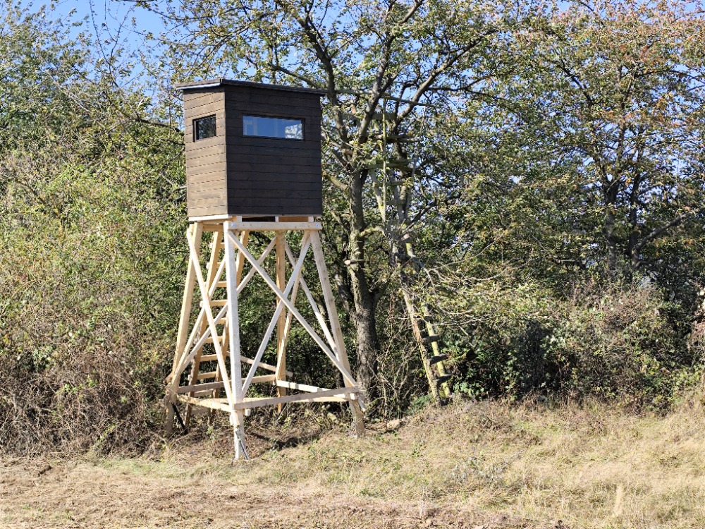 Kazatelna - posed - NIMROD VLS