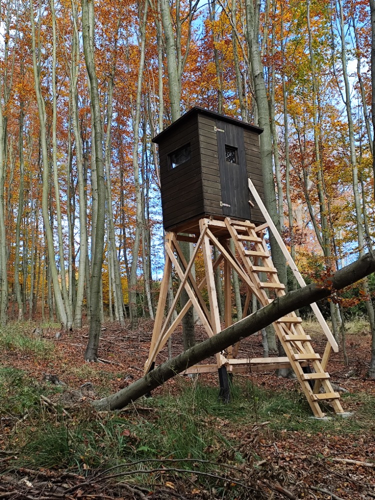 Kazatelna - posed - NIMROD VLS