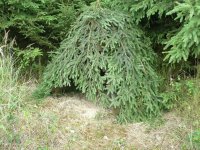 Přístřešek pro koroptve