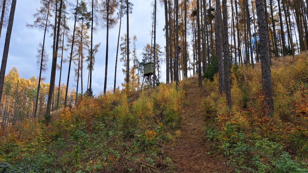 Kazatelna - posed - PROLOV III