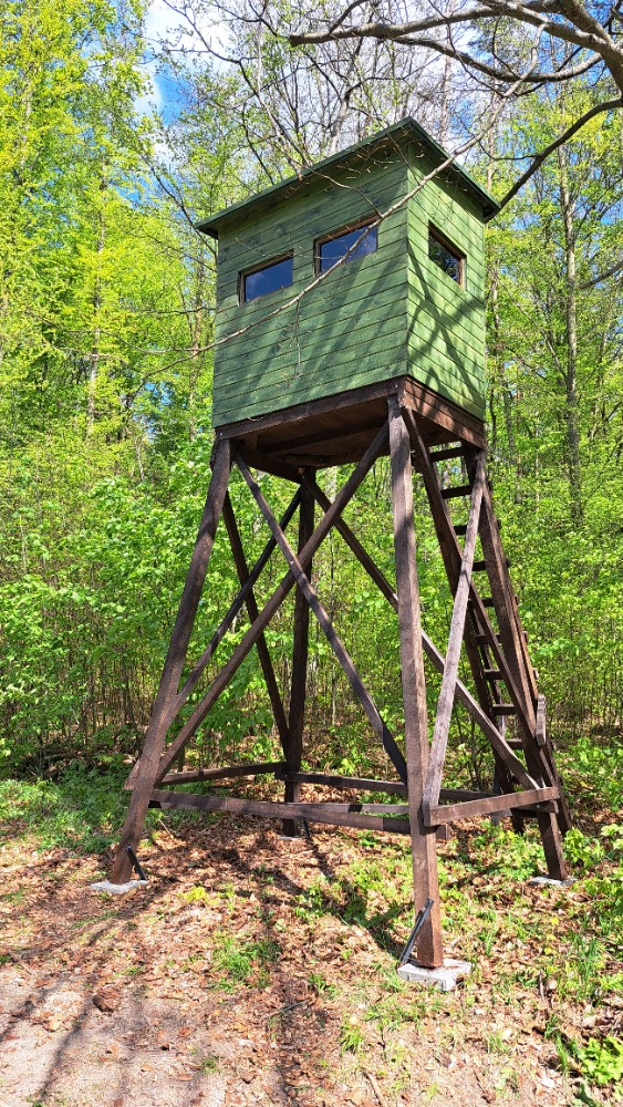 Kazatelna - posed - PROLOV III